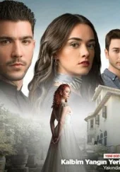 Огонь в моем сердце